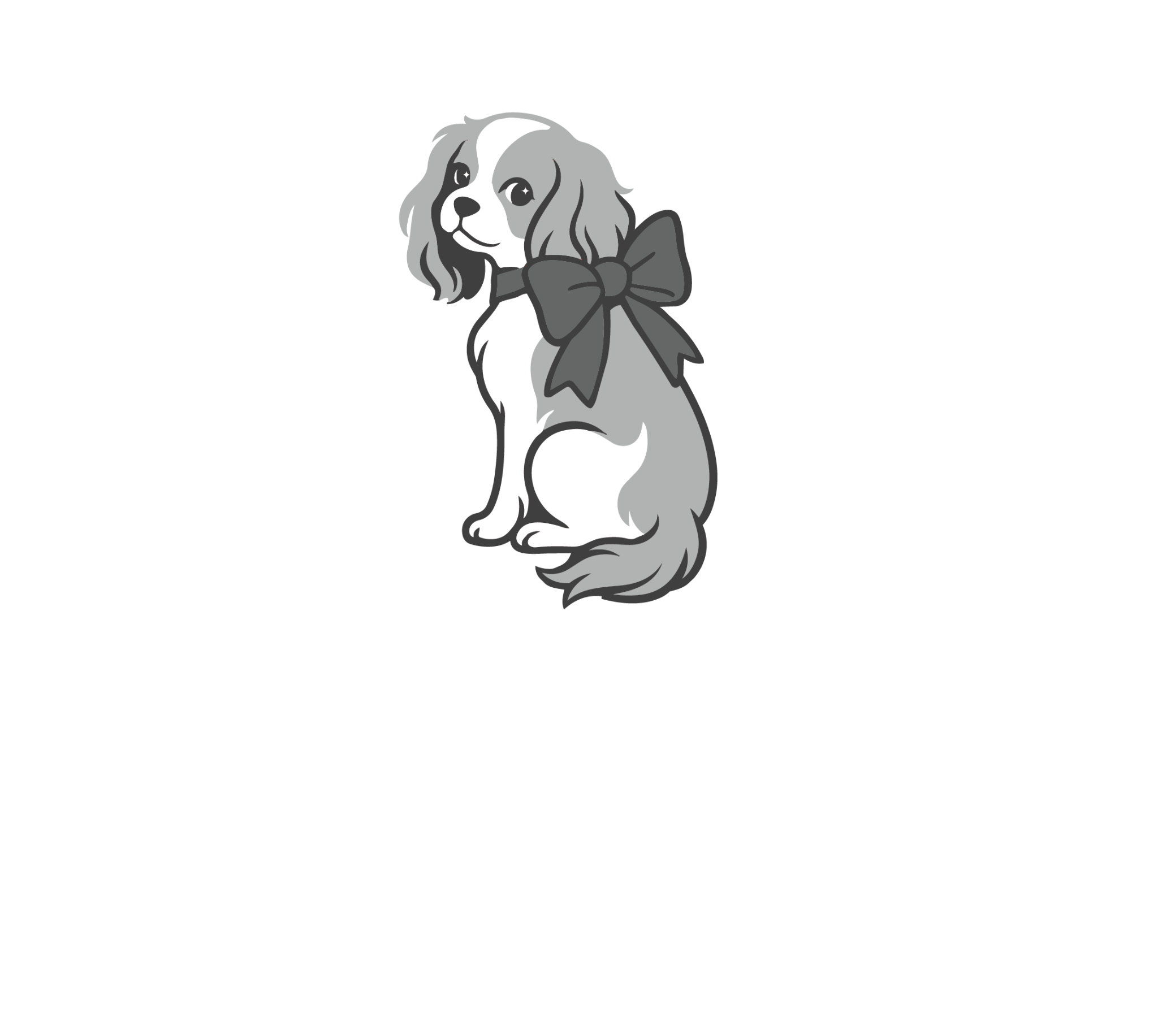 Bella Notte Augmented Reality